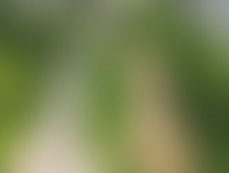 COM OBRA ATRASADA E MAIS CARA, TERCEIRA PONTE EM JACAREÍ FOI ENTREGUE