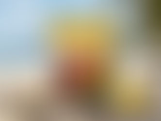 BANANINHA PRODUZIDA NO LITORAL NORTE DE SÃO PAULO, EM UBATUBA APARECEU ENTRE OS ALIMENTOS DA SELEÇÃO BRASILEIRA