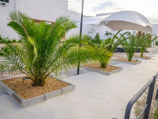 ESPAÇO MULTIUSO SEGUE ATENDENDO A POPULAÇÃO DE GUARATINGUETÁ NA REALIZAÇÃO DE EVENTOS