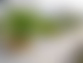 ESPAÇO MULTIUSO SEGUE ATENDENDO A POPULAÇÃO DE GUARATINGUETÁ NA REALIZAÇÃO DE EVENTOS