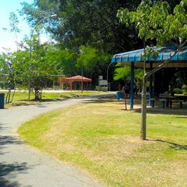 GUARATINGUETÁ - NEI CARTEIRO PEDE INFORMAÇÕES SOBRE MANUTENÇÃO E REVITALIZAÇÃO DO PARQUE ANTHERO DOS SANTOS