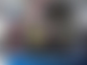 UNIDOS DE NOVA LORENA FOI CAMPEÃ DO CARNAVAL EM LORENA