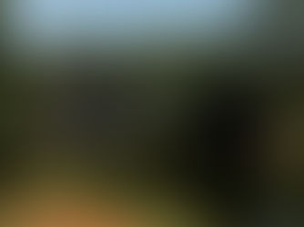 PARQUE IBIRAPUERA ACABA DE COMPLETAR 70 ANOS