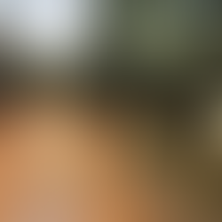 GUARATINGUETÁ - VEREADORES PEDEM INFORMAÇÕES E MELHORIAS NA ESTRADA DO MORRO FRIO