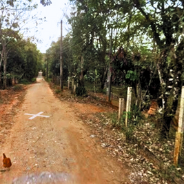 GUARATINGUETÁ - VEREADORES PEDEM INFORMAÇÕES E MELHORIAS NA ESTRADA DO MORRO FRIO