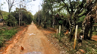GUARATINGUETÁ - VEREADORES PEDEM INFORMAÇÕES E MELHORIAS NA ESTRADA DO MORRO FRIO