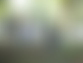 SME DE GUARATINGUETÁ REALIZARÁ O EVENTO "BRINCANDO NA RUA"