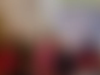 PREFEITURA REALIZOU ÚLTIMA AUDIÊNCIA PÚBLICA PRESENCIAL PARA A ELABORAÇÃO DA LDO 2027