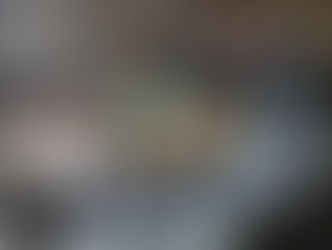 POLÍCIA AMBIENTAL APREENDEU ARMAS, MUNIÇÕES E CINCO JABUTIS EM PINDAMONHANGABA