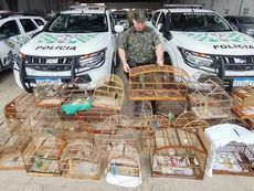 HOMENS SÃO AUTUADOS APÓS PM DE TAUBATÉ RESGATAR AVES SILVESTRES MANTIDAS EM CATIVEIRO