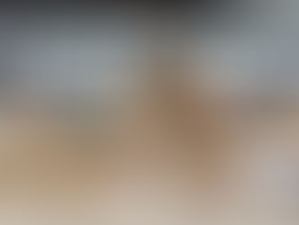 HOMENS SÃO AUTUADOS APÓS PM DE TAUBATÉ RESGATAR AVES SILVESTRES MANTIDAS EM CATIVEIRO