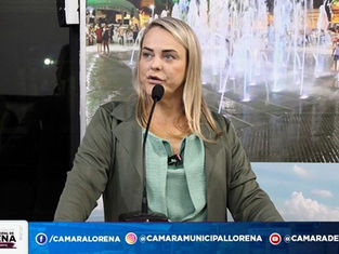 CÂMARA DE LORENA PEDE REALIZAÇÃO DE AUDIÊNCIAS PÚBLICAS SOBRE POSSÍVEL CONSTRUÇÃO DE VIADUTO