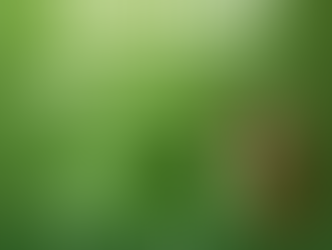 COM A TEMÁTICA - MARIA, MULHER DA ESPERANÇA, ACADEMIA MARIAL DE APARECIDA PROMOVE XVIII CONGRESSO MARIOLÓGICO