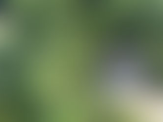 TEMPORAL DERRUBA POSTES E ÁRVORES EM RUA DE SÃO JOSÉ E DEIXA MORADORES ISOLADOS