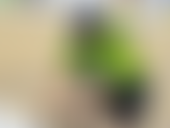 VICTORIA BARBOSA CONQUISTOU A PRIMEIRA MEDALHA DO BRASIL NO MUNDIAL DE PARACICLISMO DE PISTA