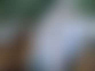 CASO MARCO AURÉLIO – 1ª ETAPA DE ESCAVAÇÕES FOI ENCERRADA