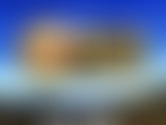 GUARATINGUETÁ REALIZARÁ O FESTIVAL DA TRUTA 2024