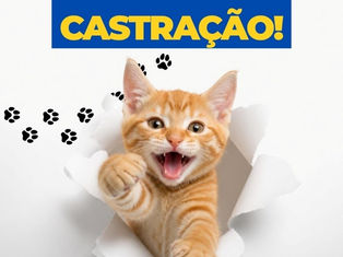 🐾 ALÔ, TUTORES DO ENGENHEIRO NEIVA E REGIÃO!