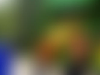 LORENA - PREFEITURA REALIZA OPERAÇÃO CATA-BAGULHO EM TRÊS BAIRROS DA CIDADE