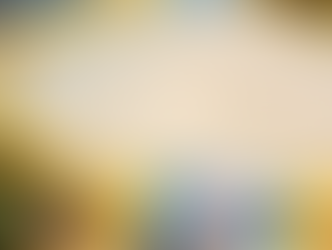 APÓS SUSPEITAS DE FRAUDE, GOVERNO CANCELOU LEILÃO DO ARROZ