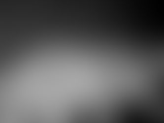 ONÇA-PARDA FOI FLAGRADA NA RODOVIA DOS TAMOIOS