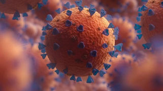 A VARIANTE BA.3.2 DO CORONAVÍRUS — TAMBÉM CHAMADA DE “CICADA” — JÁ FOI IDENTIFICADA EM PELO MENOS 23 PAÍSES.