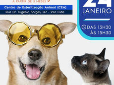 LORENA FARÁ ETAPA MENSAL DA VACINA ANTIRRÁBICA