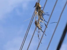 PIPAS JÁ DEIXARAM MAIS DE 34 MIL MORADORES DO VALE SEM ENERGIA EM 2023