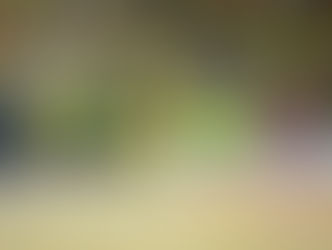 JARAGUÁ DERROTA O CORINTHIANS E CONQUISTA O TÍTULO DA LNF (LIGA NACIONAL DE FUTSAL) DE 2025.