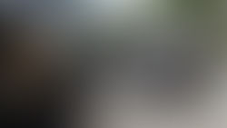 VALE DO PARAÍBA REGISTROU 34 MORTES NO TRÂNSITO NO MÊS DE MARÇO APONTOU INFOSIGA