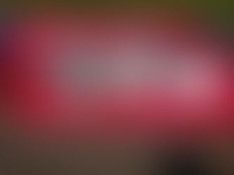 MUTIRÃO DE LIMPEZA RECOLHE MAIS DE 169 QUILOS DE LIXO NA PRAIA DA ENSEADA EM UBATUBA