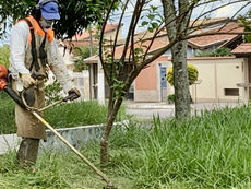GUARATINGUETÁ ESTÁ EXECUTANDO MUTIRÃO DE LIMPEZA