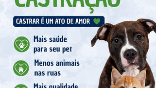 🐶🐱 MUTIRÃO DE CASTRAÇÃO