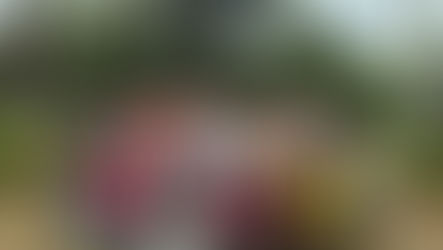 CRAS 1 E CRAS 2 DE LORENA VISITARAM SÍTIO DO PICAPAU AMARELO E TAUBATÉ