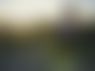 MENOPAUSA PRECOCE ESTÁ RELACIONADA AO MAIOR RISCO DE PERDA MUSCULAR, DIZ ESTUDO