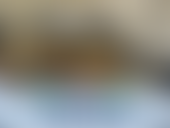 PM AMBIENTAL APREENDEU 5 AVES SILVESTRES EM CATIVEIRO EM PINDAMONHANGABA, SP