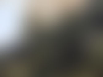 DEFESA CIVIL MANTÉM BANANAL E SÃO LUIZ DO PARAITINGA EM ALERTA MÁXIMO PARA INCÊNDIOS