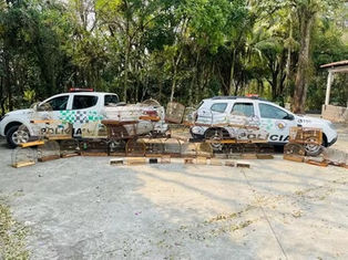 POLÍCIA AMBIENTAL RESGATA 33 AVES MANTIDAS EM CATIVEIRO EM JACAREÍ, SP