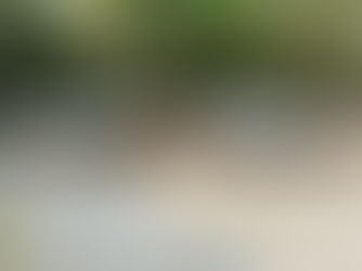 POLÍCIA AMBIENTAL RESGATA 33 AVES MANTIDAS EM CATIVEIRO EM JACAREÍ, SP