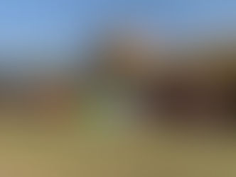 GUARATINGUETÁ FOI PALCO DO II PEDAL DAS GULOSEIMAS