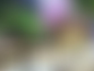 NOVAS LÂMPADAS DE LED SÃO INSTALADAS EM GUARATINGUETÁ