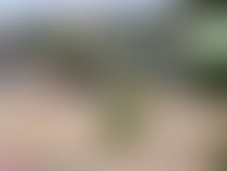 POLÍCIA CIVIL INVESTIGA COBRANÇA DE TAXA IRREGULAR PARA APROVAR ALUNOS EM EXAME DE CNH NO VALE