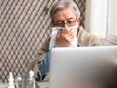 GRIPE K - SANTA CATARINA REGISTRA A MAIORIA DOS CASOS NO PAÍS