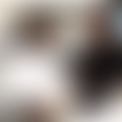 PAPA LEÃO XIV CUMPRIMENTOU ARCEBISPO DE APARECIDA DOM ORLANDO BRANDES APÓS AUDIÊNCIA PÚBLICA NO VATICANO