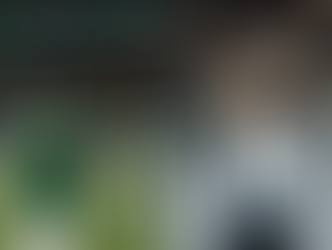 PALMEIRAS VENCEU O CORINTHIANS EM CLÁSSICO PELO BRASILEIRÃO