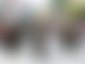 LORENA VOLTOU A REALIZAR DESFILE CÍVICO DE 7 DE SETEMBRO