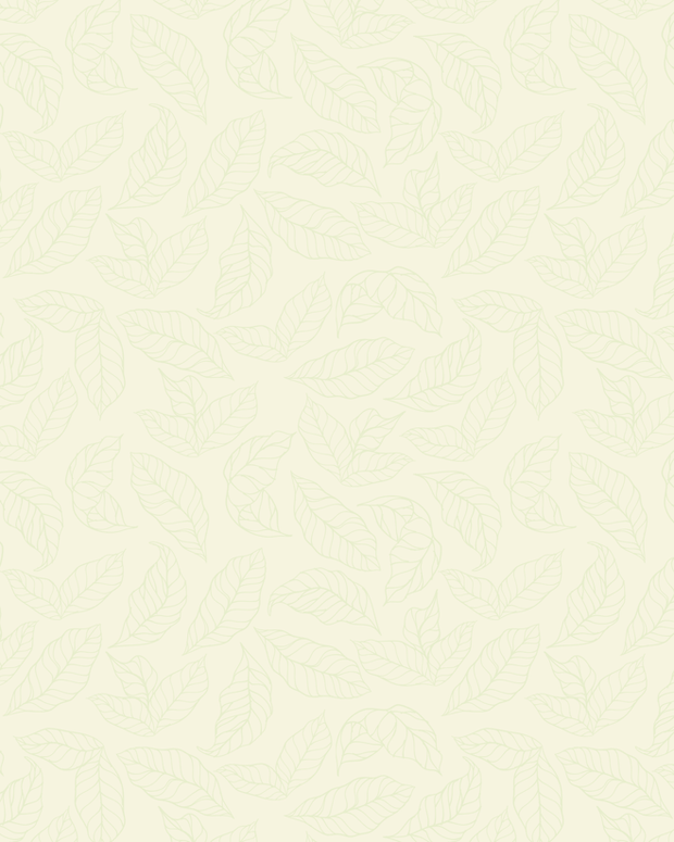 SM.png