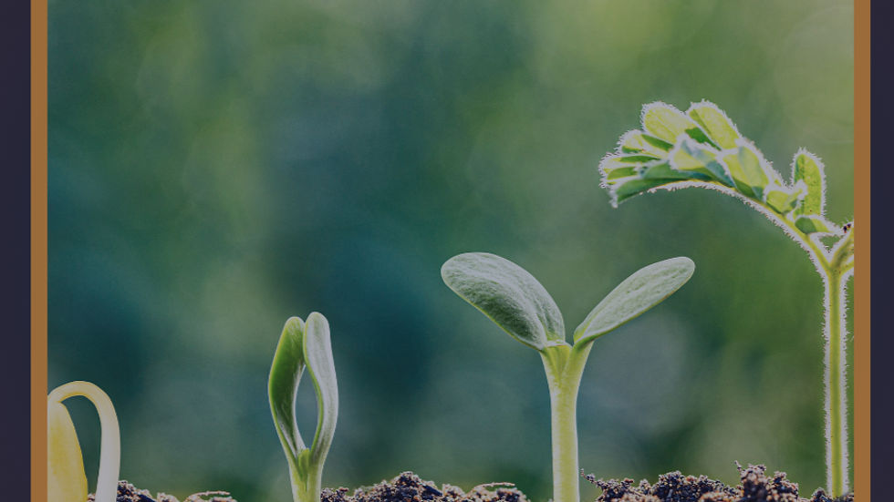 A reminder to Safe Harbor Yoga students