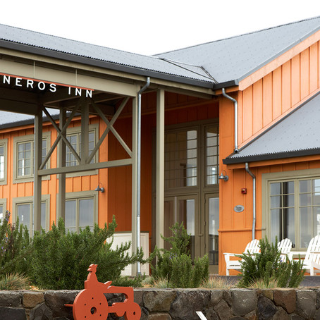 CALIFORNIA - Napa Valley: Celebrating 80 in the Wine Country!