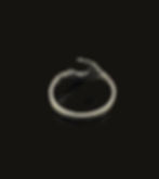 Entwined Crescent moon silver ring back